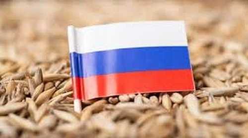 Польща збільшує закупівлю російської агропродукції, – розслідування