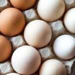 Рынок Японии открылся для украинских яиц