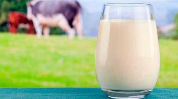  Молочная отрасль в глубоком кризисе и нуждается в государственной поддержке