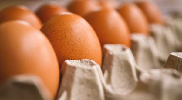 Мінагрополітики домовилось з виробниками яєць про стабілізацію цін