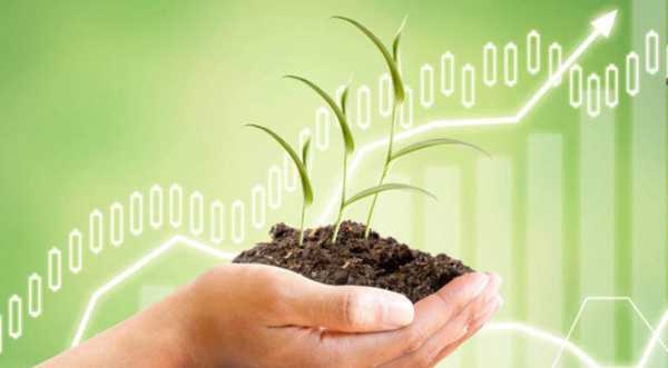 ЄБРР оголошує конкурс для стартапів у секторі агробізнесу