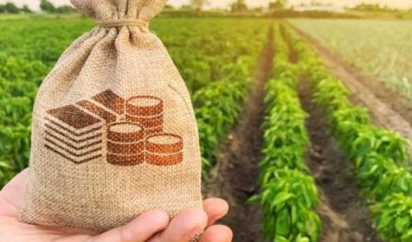 У кредитному портфелі Ощадбанку 72% займають аграрії