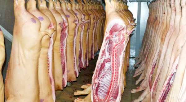 Закупівельні ціни на свинину повернулись до рівня 80 грн/кг
