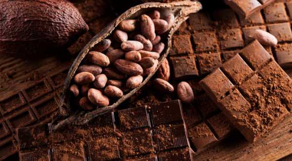 Новий замінник какао-масла здешевить виробництво шоколадних виробів