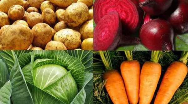 Україна навесні буде імпортувати всі овочі борщового набору