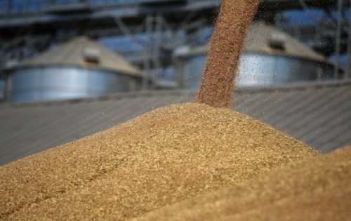 На Харківщині лаборантка агропідприємства допомогла окупантам вивезти на росію 200 тонн зерна