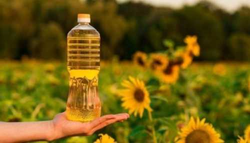 Україна на 30% збільшила експорт соняшникової олії до ЄС
