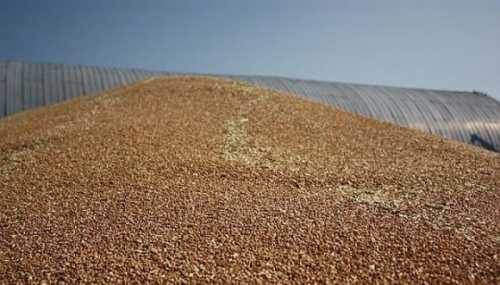 «Чорний» експорт зерна за 9 місяців 2023 року склав майже 134 млрд грн