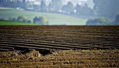 Фермерам доводиться купувати землю, щоб захистити свій бізнес