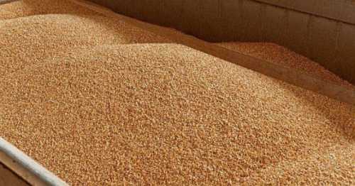 Болгарія наполягає на впровадженні мит та квот на імпорт українського зерна до ЄС