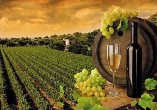 Парламент готується розглянути євроінтеграційний закон про виноград та продукти виноградарства
