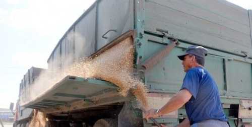 Польща перевірятиме все українське зерно, яке йде транзитом через країну