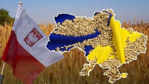 Чому Польща вирішила посилити контроль за українською агропродукцією