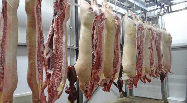 Закупівельні ціни на свинину зросли до 65 грн/кг