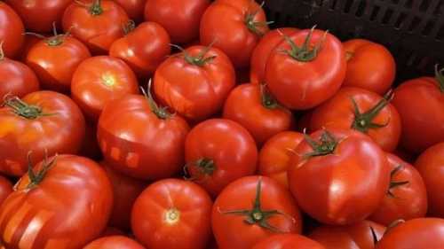 Дефіцит тепличних томатів дав змогу імпортерам підвищити ціни