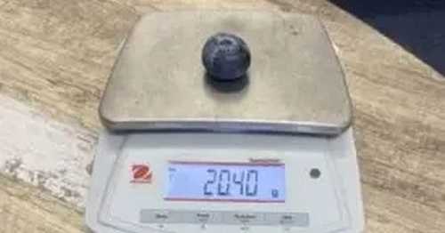 В Австралії виростили лохину вагою понад 20 грамів