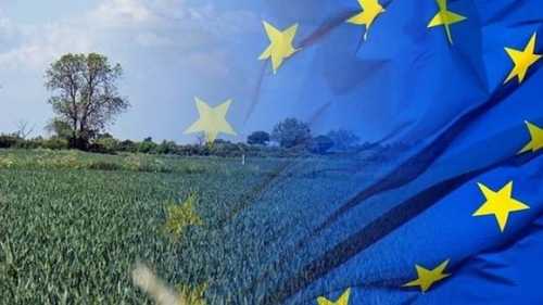 Інтеграція агросектору України в ринок ЄС потребуватиме реформи сільськогосподарської політики, – підсумки семінару