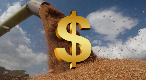 Обсяг відмивання грошей через агроекспорт перевищив $7 млрд