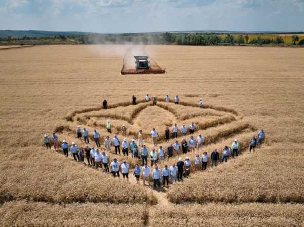 Репортаж з Миколаївського кластера НІБУЛОНу: Врожайність озимих, інвестиції у IT, розмінування та елеватори
