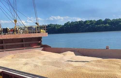У сезоні 2023-2024 років Група АГРОТРЕЙД експортувала понад 390 тисяч тонн зерна
