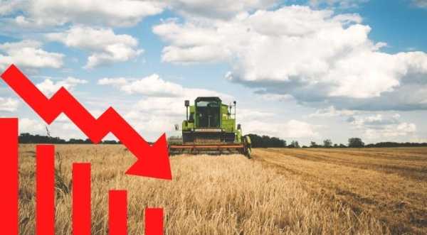 Україна намолотить на 11 млн т менше урожаю, ніж торік