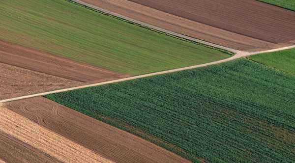 Загарбники на Луганщині планують масштабне вилучення земельних ділянок.