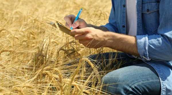 В Україні розпочинається навчальна програма для аграріїв AGRO 360: шлях до врожаю