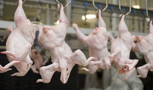 Молдова необґрунтовано заблокувала ввезення курячого м’яса з України.