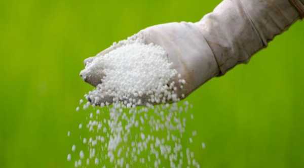 Дефіцит сечовини може хвилювати аграріїв більше, ніж вартість добрив.