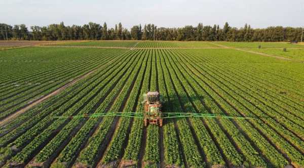 Організувати овочівництво вимагає більших витрат, ніж вирощування зерна: початкові інвестиції – від $7 тис.&hellip;