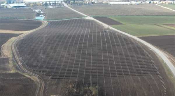 Садова земля в оренду: лідирує Миколаївська область