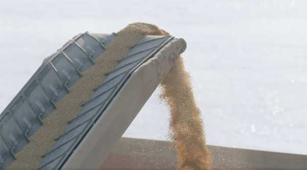 Українські морські гавані поновлюють обробку збіжжя.