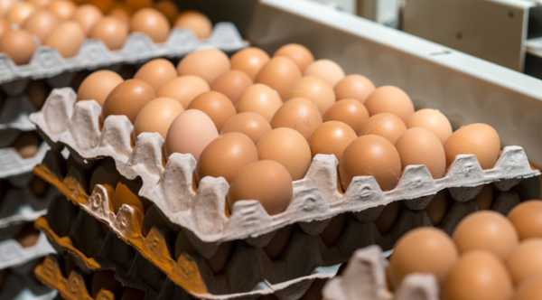 Ціна на яйця зросла на 11% за рік.