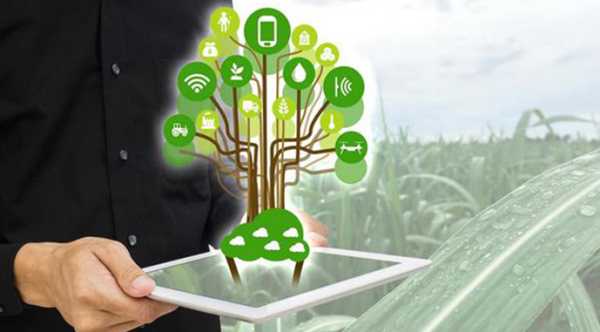 ЄБРР ініціює програму сприяння агрохарчовим новаціям в Україні