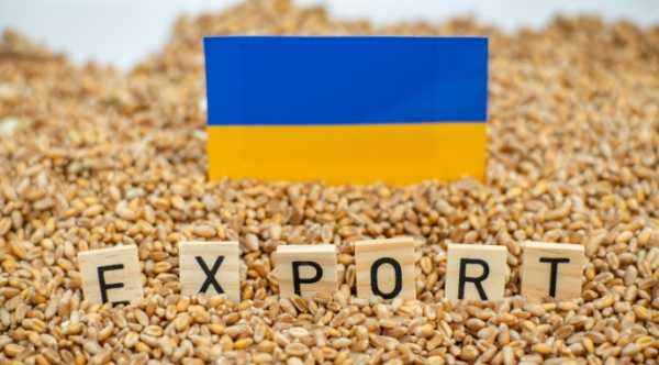 Український експорт зерна скоротився на третину внаслідок нападів на порти