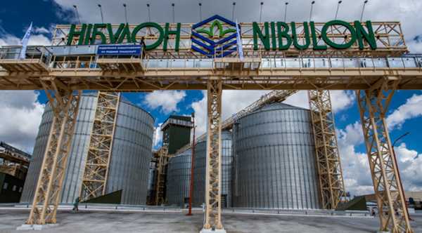 Зернозбиральні пункти “НІБУЛОН” розпочали приймання зернових культур нового сезону.