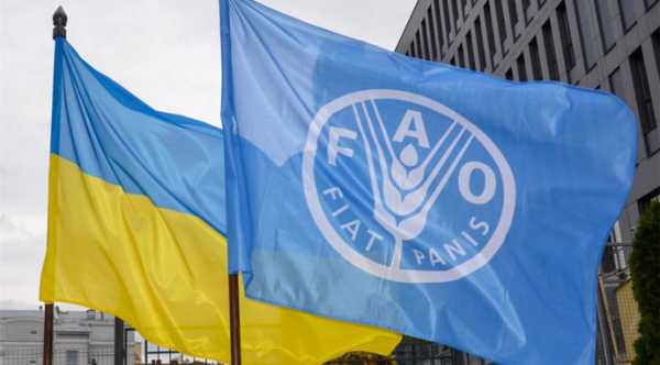 Продовольча та сільськогосподарська організація ООН (ФАО) в Україні планує надати допомогу на…