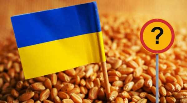 Україна завершує сезон: обсяги експорту зернових