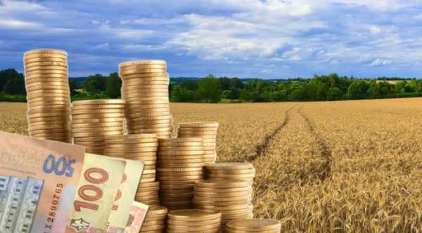 Вартість української землі може зрости на 18% цього року