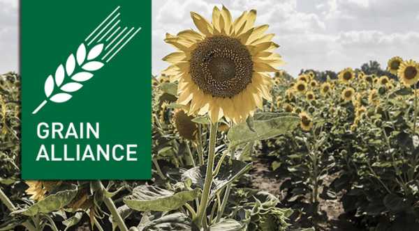 Антимонопольний комітет надав дозвіл компанії “Grain Alliance” на придбання частки в медовиробному підприємстві.