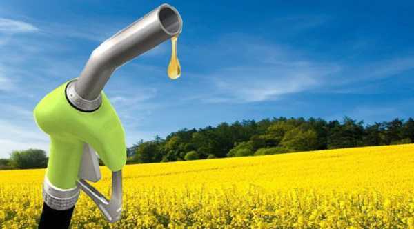 Україна недостатньо зосереджується на галузі біодизелю