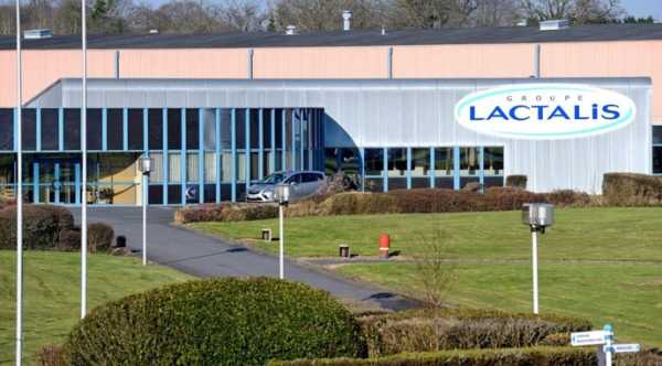 Lactalis оновить завод з виробництва молочних десертів у Чеській Республіці
