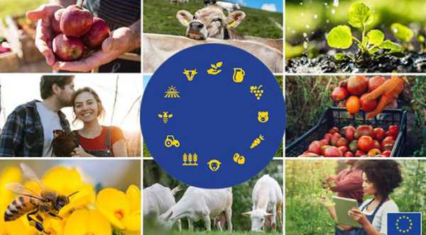 Європейські норми сільськогосподарської продукції повільно стають глобальним орієнтиром