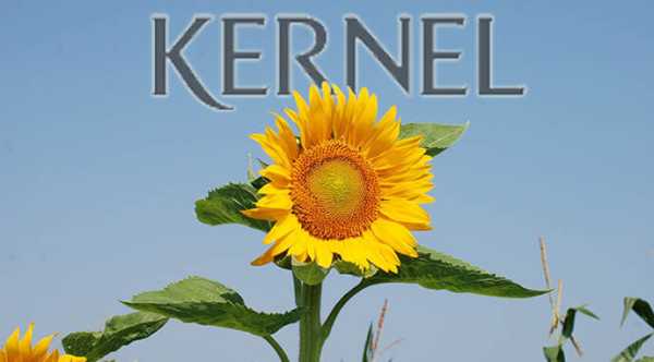 Kernel: третина експорту – це продукти вторинної переробки