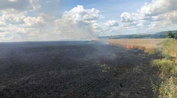 На Херсонщині палають поля з врожаєм