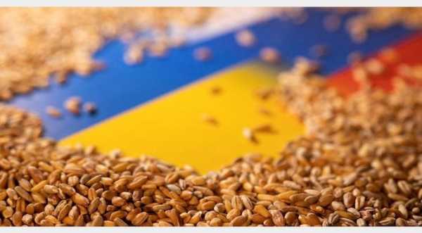 Експорт зерна та кукурудзи зріс удвічі порівняно з минулим роком