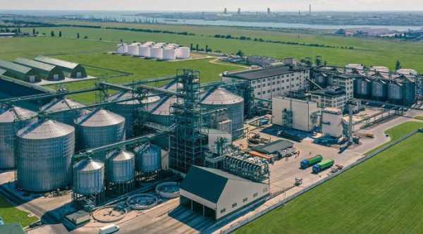 Allseeds зупиняє діяльність на Одещині через атаки на порти