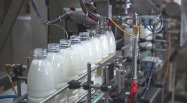 Виробництво молочних продуктів може стати дорожчим на 5–10% — прогноз АВМ