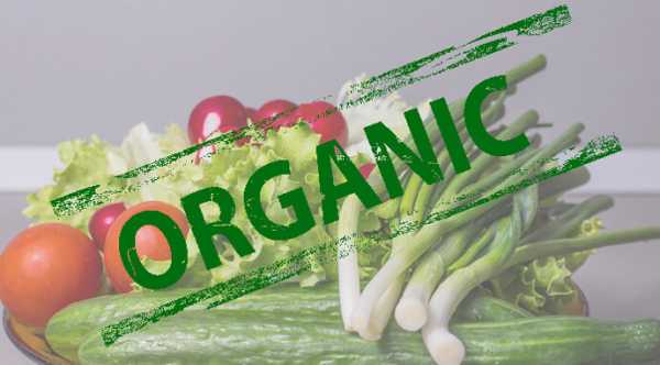 Україна увійшла до п’ятірки провідних експортерів органічних продуктів до Європейського Союзу.