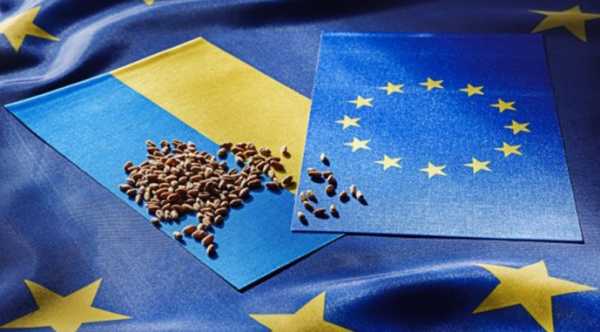 Глава представництва ЄС висловлює переконання, що українське сільське господарство здатне конкурувати й…